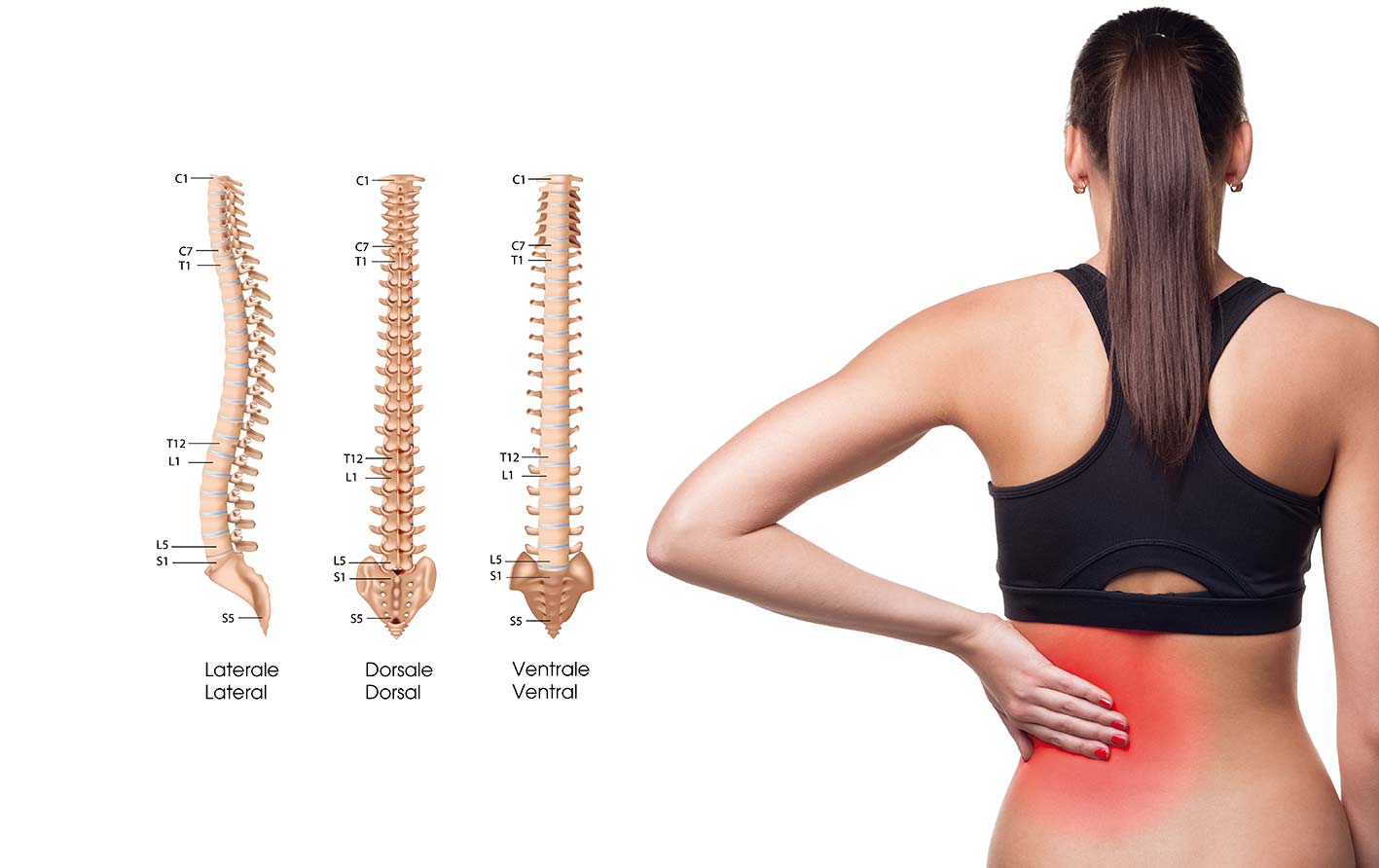 dolore colonna vertebrale