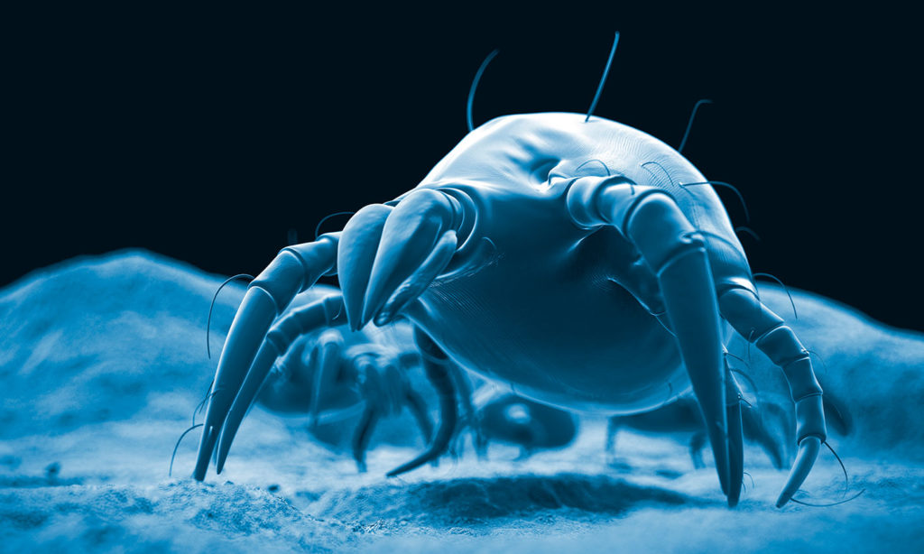 antiacaro-activie-biotic