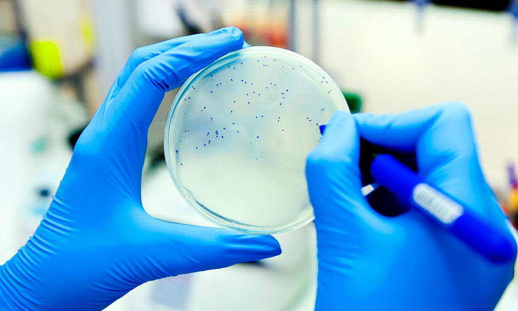 antibatterico-active-biotic