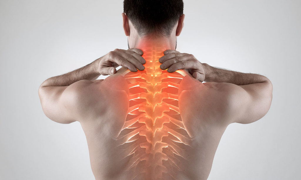 colonna-vertebrale-air-gel