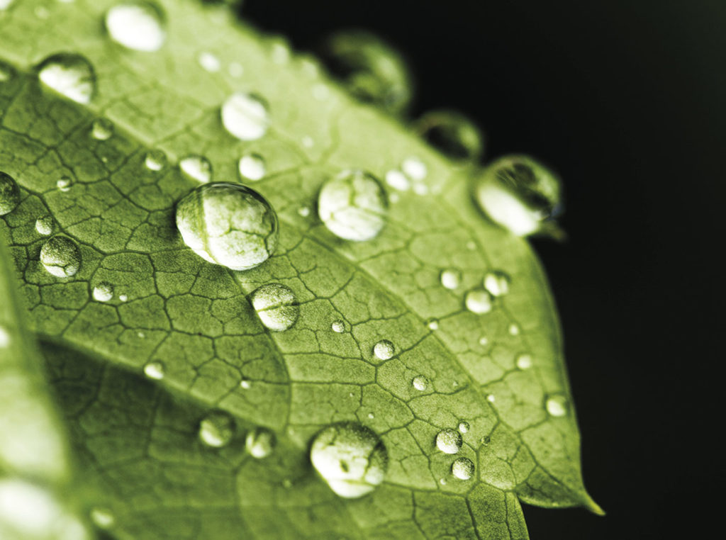 foglia-goccia-tencel