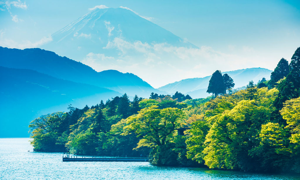 natura-active-biotic