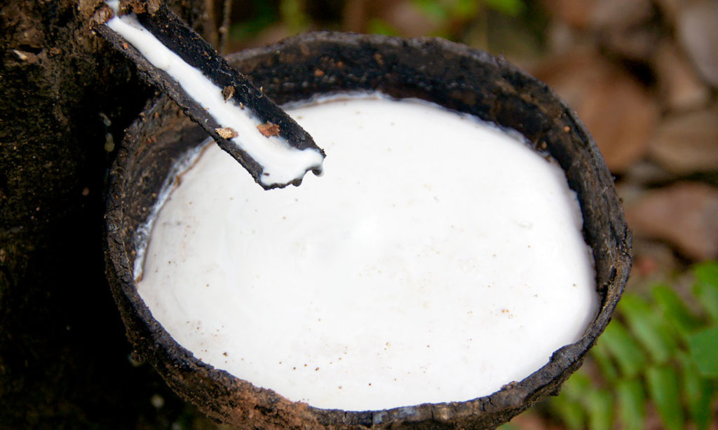 rispetto-natura-lattice