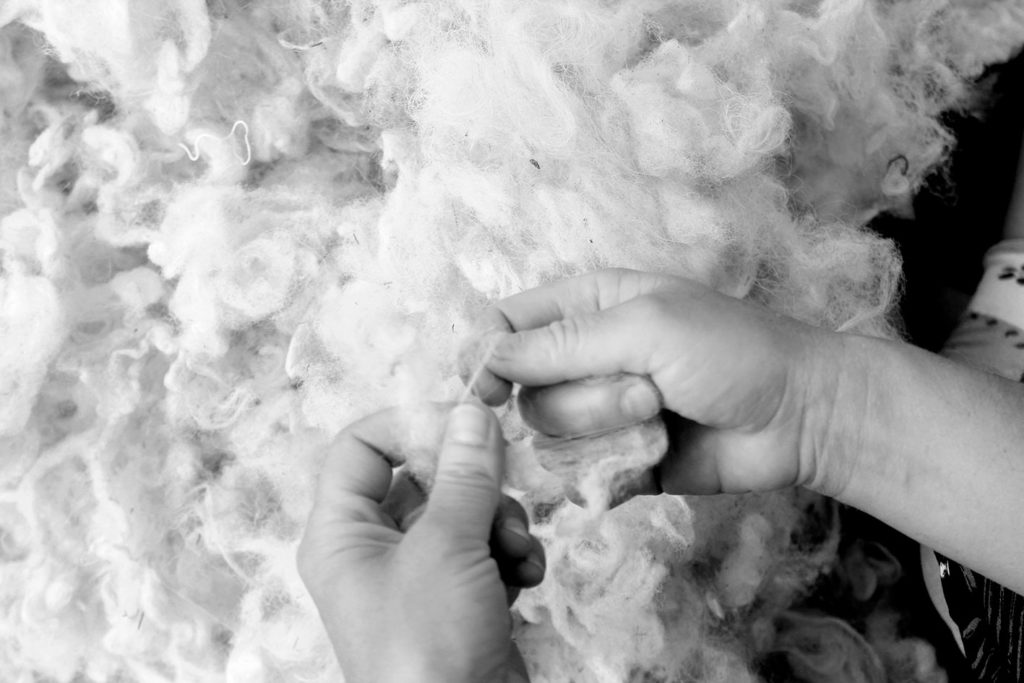 lavorazione lana merinos