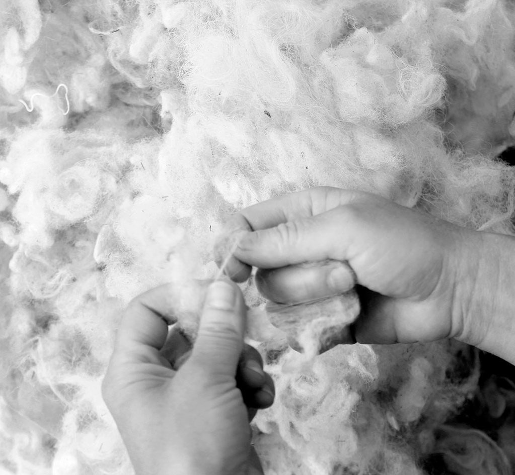 lavorazione lana merinos