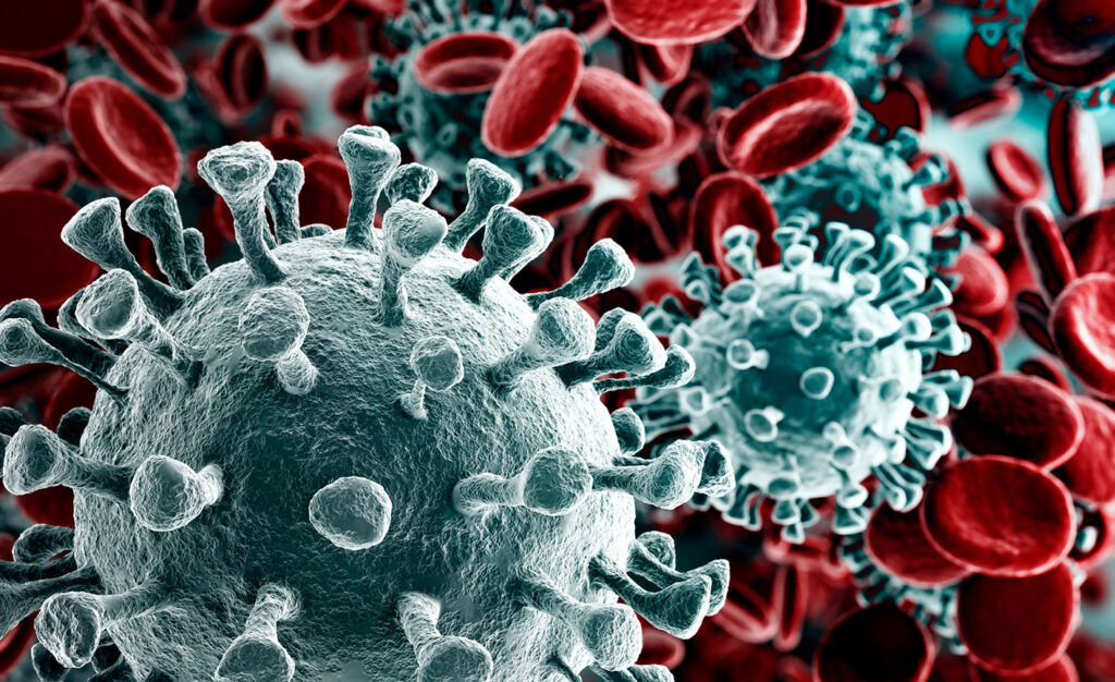 batteri-e-virus-materasso batteri-e-virus-materasso